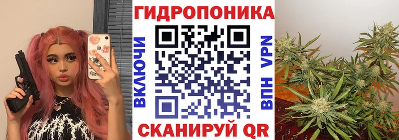 Купить наркоту Малгобек СОЛЬ  Галлюциногенные грибы  Cocaine  Гашиш 