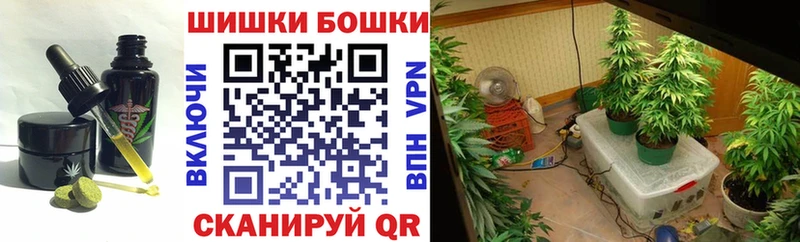 Canna-Cookies марихуана  Малгобек 