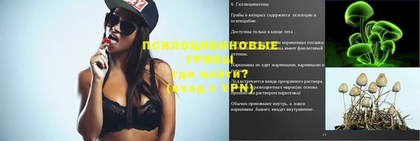индика Лиски