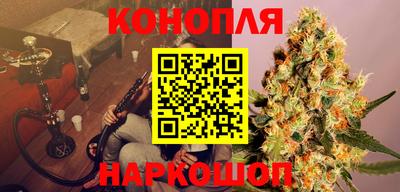 apvp Краснодар