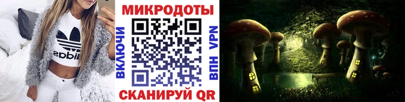 где продают   Малгобек  Псилоцибиновые грибы GOLDEN TEACHER 