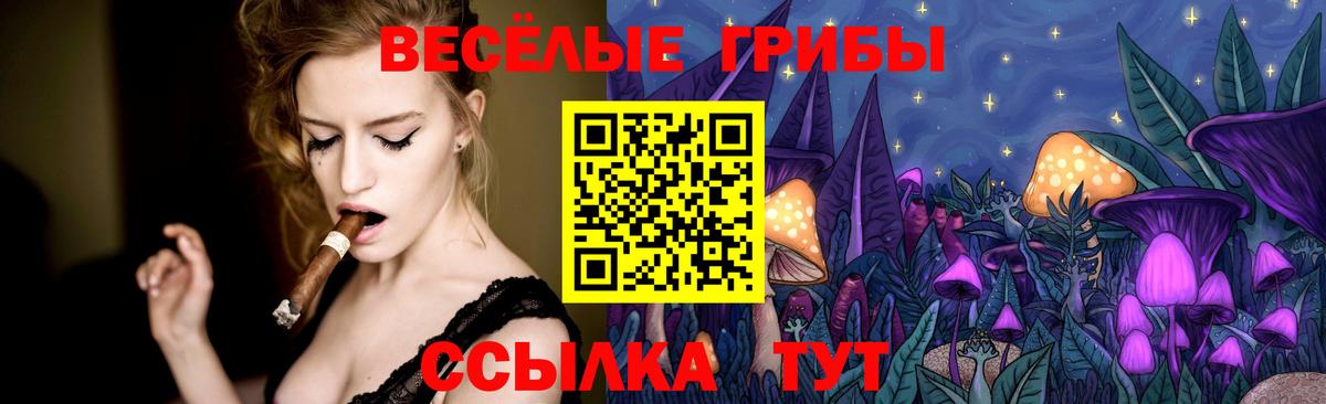 Псилоцибиновые грибы Psilocybe  Малгобек 